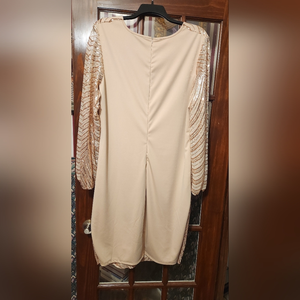 Sequined Dress - Picture 4 of 4
